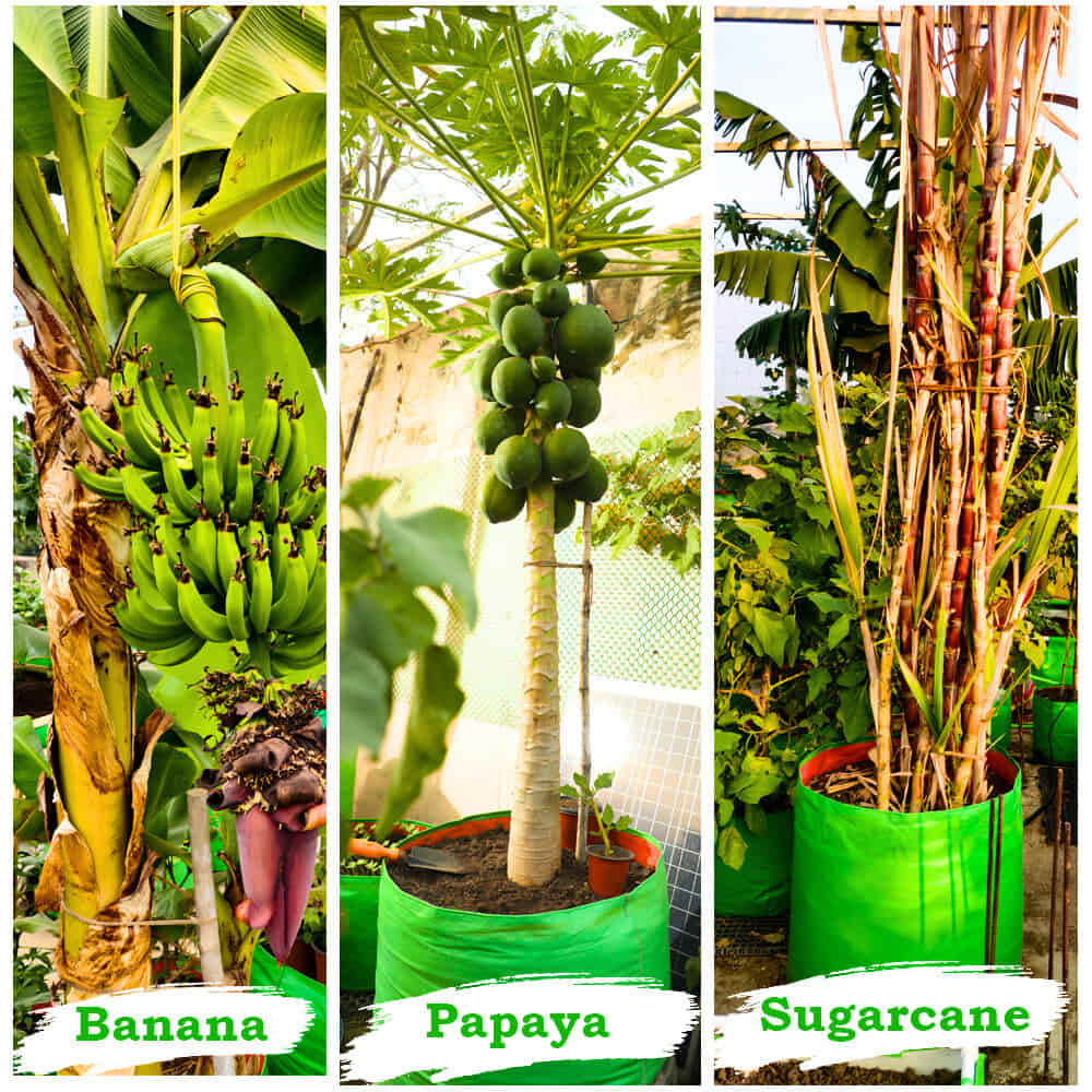 12x18 Grow Bag for Vegetables Garden, Premium HDPE 260 GSM, Green Plant Bags for Terrace Garden