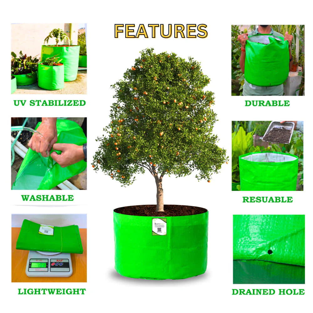 HDPE 24x18 Large Grow Bags for Terrace Gardening Extra Thick Premium Quality Grow Bags