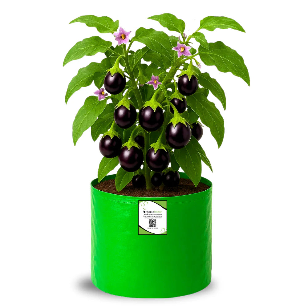 Carvix HDPE 10×10 Cylindrical Grow Bag – 260 GSM | UV-Stabilized Round Grow Bag for Vegetables & Flowers