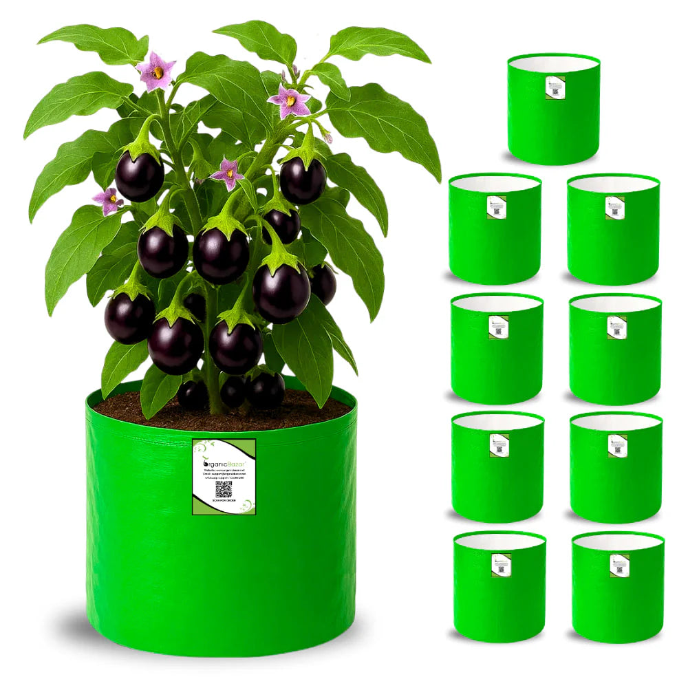 Carvix HDPE 10×10 Cylindrical Grow Bag – 260 GSM | UV-Stabilized Round Grow Bag for Vegetables & Flowers