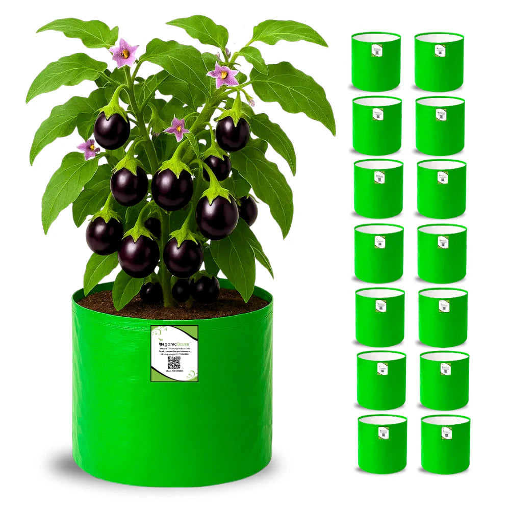 Carvix HDPE 10×10 Cylindrical Grow Bag – 260 GSM | UV-Stabilized Round Grow Bag for Vegetables & Flowers