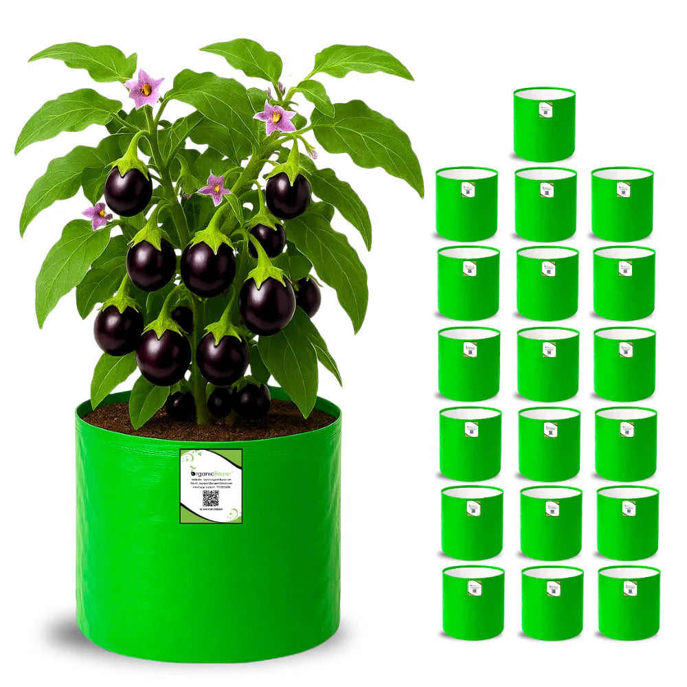 Carvix HDPE 10×10 Cylindrical Grow Bag – 260 GSM | UV-Stabilized Round Grow Bag for Vegetables & Flowers