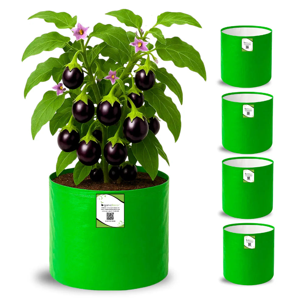 Carvix HDPE 10×10 Cylindrical Grow Bag – 260 GSM | UV-Stabilized Round Grow Bag for Vegetables & Flowers