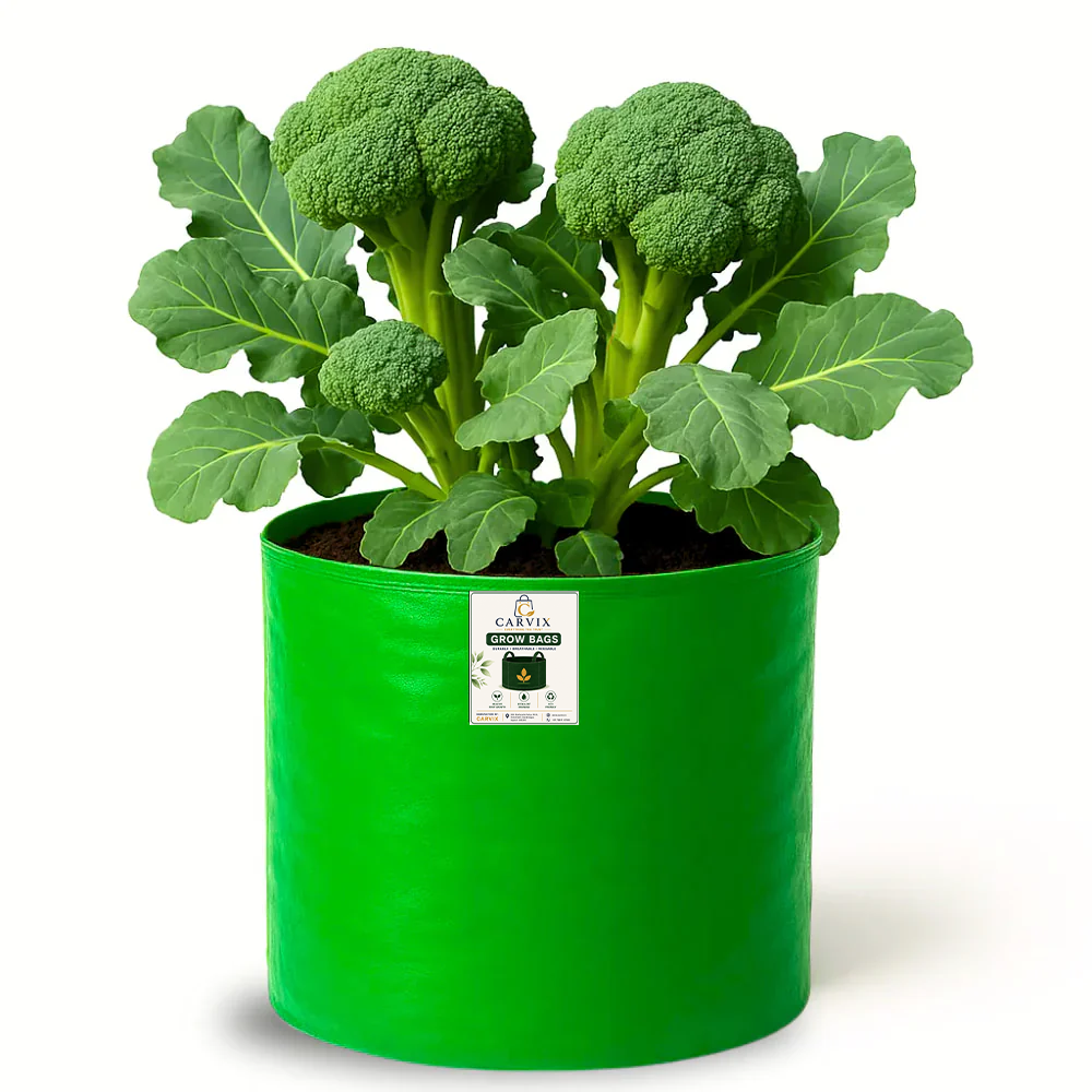 12x9 Grow Bag for Vegetable Garden, Premium HDPE 260 GSM Green Plant Bags for Terrace Garden