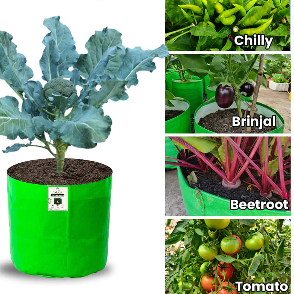 Carvix 15x12 Grow Bag for Vegetable Garden, Premium HDPE 260 GSM Green Plant Bags for Terrace Gardening