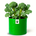 Carvix 12x15 Grow Bag for Vegetable Garden, Premium HDPE 260 GSM, Green Plant Bags