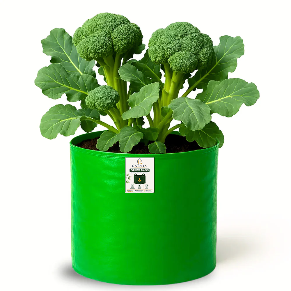 12x9 Grow Bag for Vegetable Garden, Premium HDPE 260 GSM Green Plant Bags for Terrace Garden