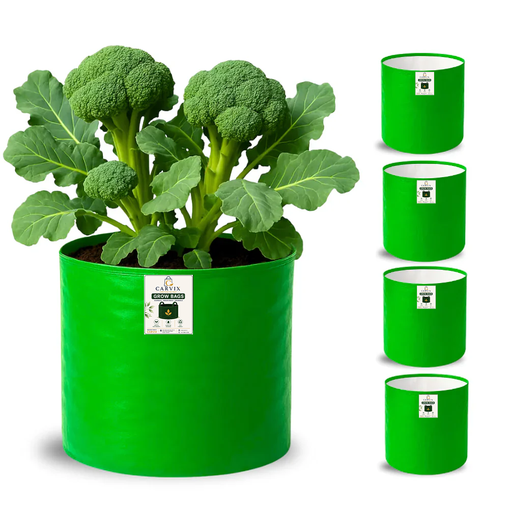 12x9 Grow Bag for Vegetable Garden, Premium HDPE 260 GSM Green Plant Bags for Terrace Garden
