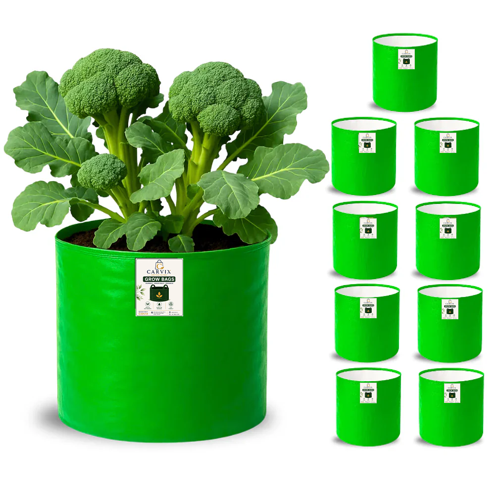 12x9 Grow Bag for Vegetable Garden, Premium HDPE 260 GSM Green Plant Bags for Terrace Garden