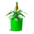 15x18 Big Grow Bag for Terrace Garden, Premium HDPE 260 GSM Green Plant Bags