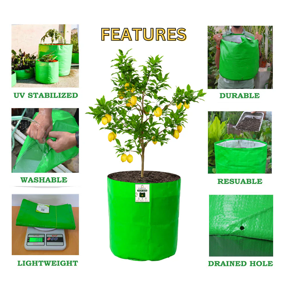 15x18 Big Grow Bag for Terrace Garden, Premium HDPE 260 GSM Green Plant Bags