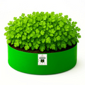 15x6 Grow Bag for Leafy Vegetables, Premium HDPE 260 GSM, Green Plant Bags