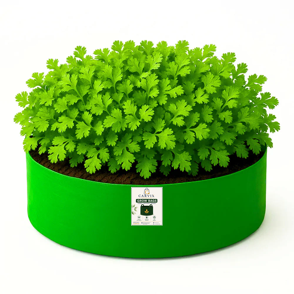 15x6 Grow Bag for Leafy Vegetables, Premium HDPE 260 GSM, Green Plant Bags