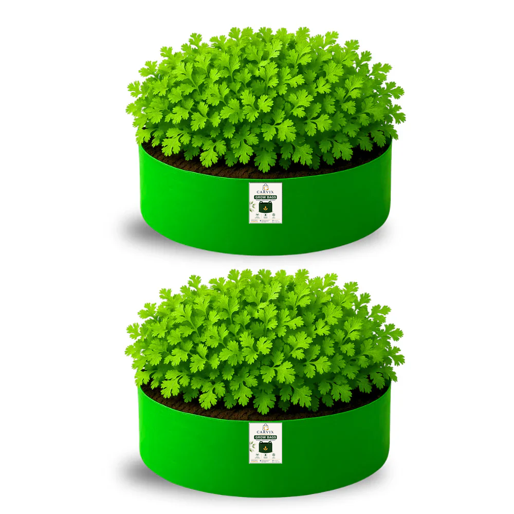 15x6 Grow Bag for Leafy Vegetables, Premium HDPE 260 GSM, Green Plant Bags