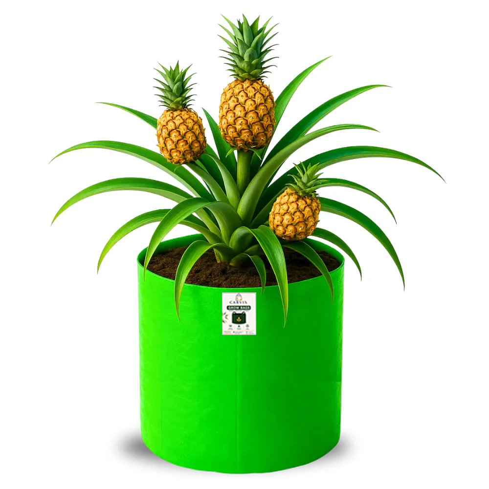 15x18 Big Grow Bag for Terrace Garden, Premium HDPE 260 GSM Green Plant Bags