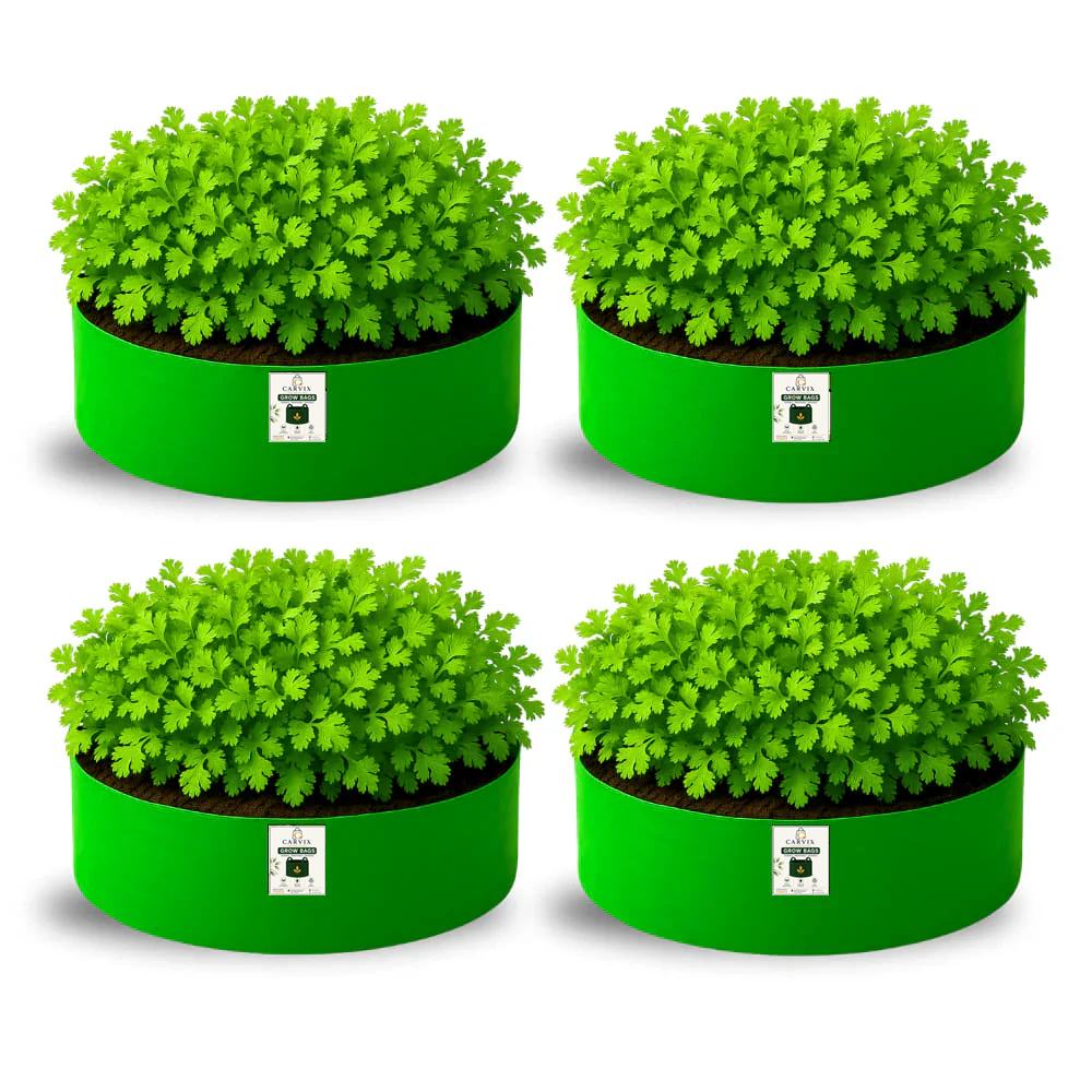 15x6 Grow Bag for Leafy Vegetables, Premium HDPE 260 GSM, Green Plant Bags