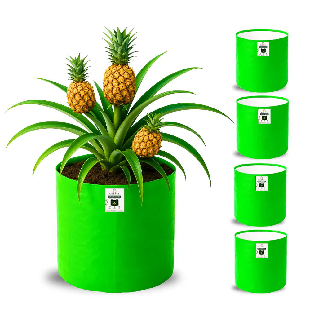 15x18 Big Grow Bag for Terrace Garden, Premium HDPE 260 GSM Green Plant Bags