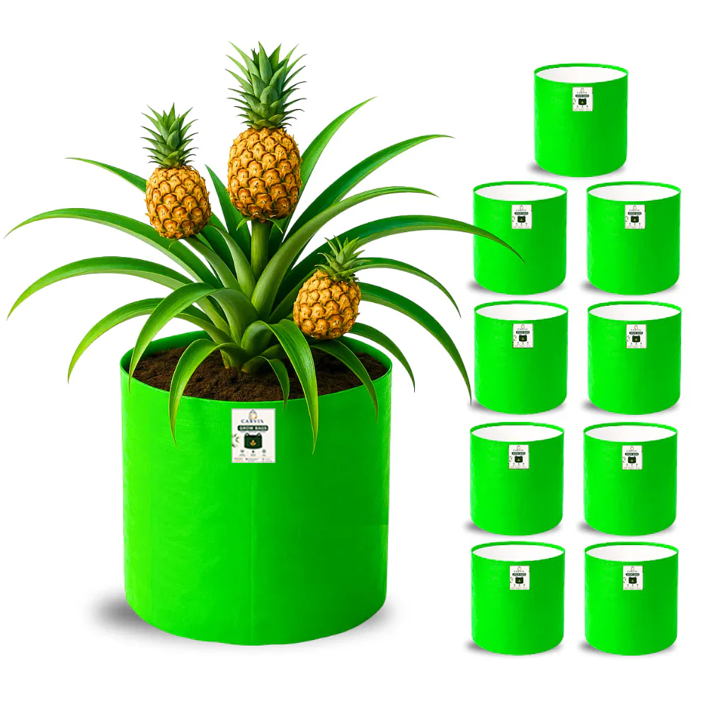 18x15 Grow Bag for Vegetable Garden, Premium HDPE 260 GSM, Green Plant Bags for Terrace Garden