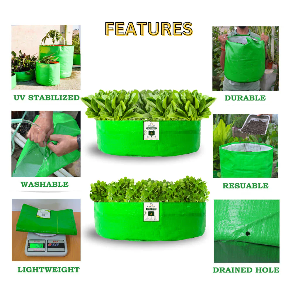 15x6 Grow Bag for Leafy Vegetables, Premium HDPE 260 GSM, Green Plant Bags