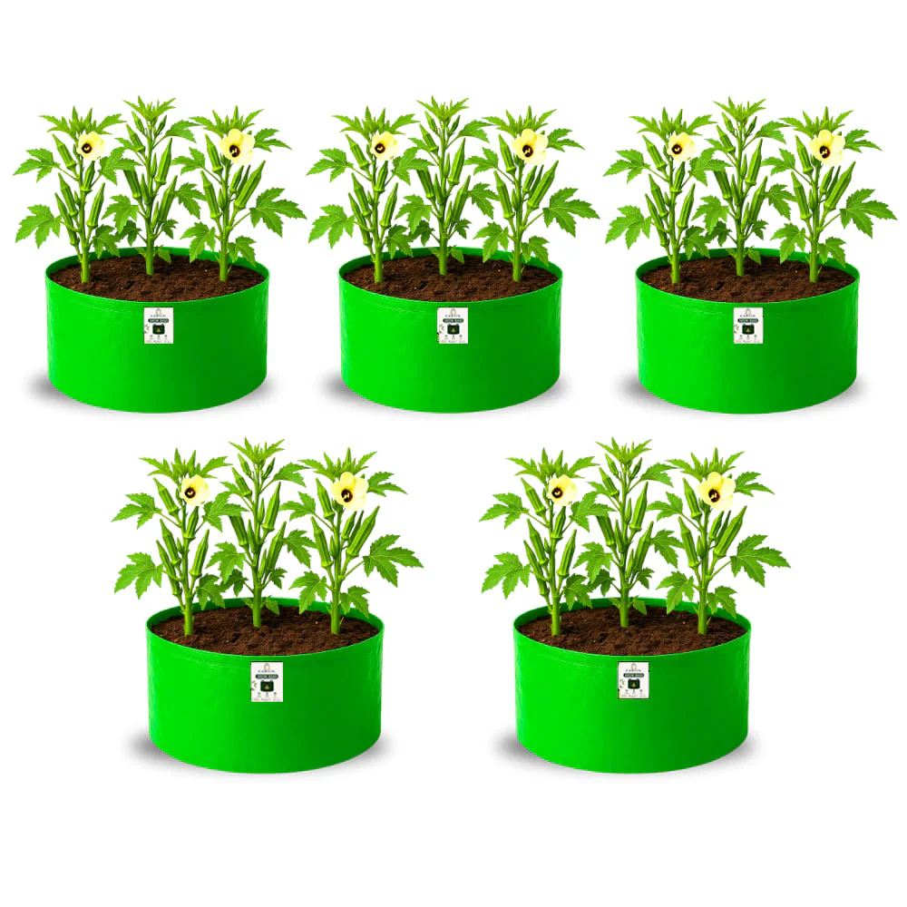 18x15 Grow Bag for Vegetable Garden, Premium HDPE 260 GSM, Green Plant Bags for Terrace Garden