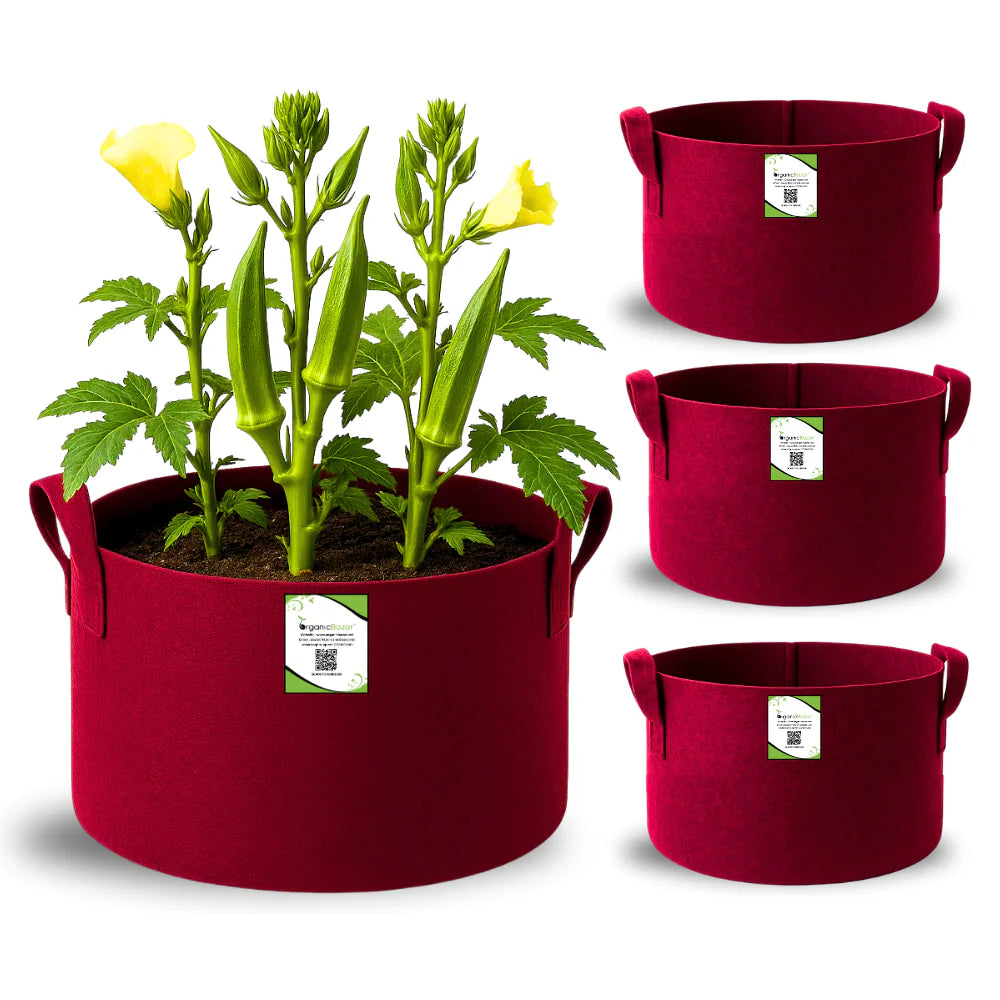 Carvix Premium 15x18 Geo Fabric Grow Bags For Terrace Gardening