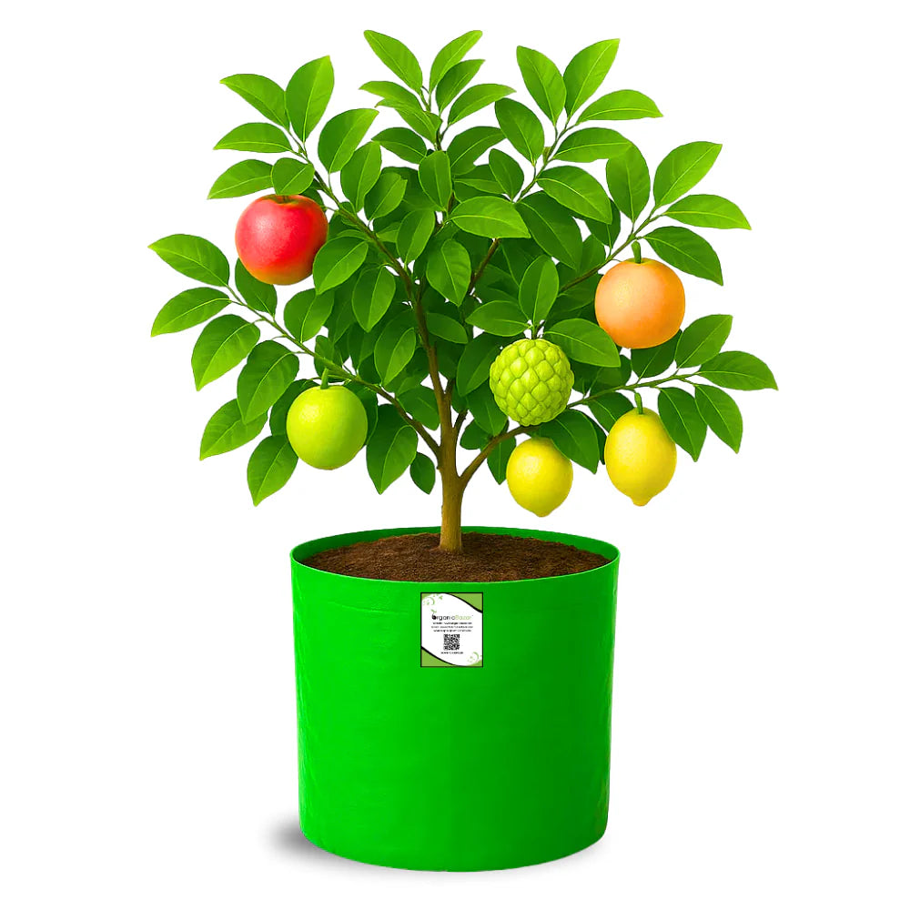 Carvix HDPE 18x18 Grow Bags for Terrace Gardening Extra Thick Premium Quality Grow Bags