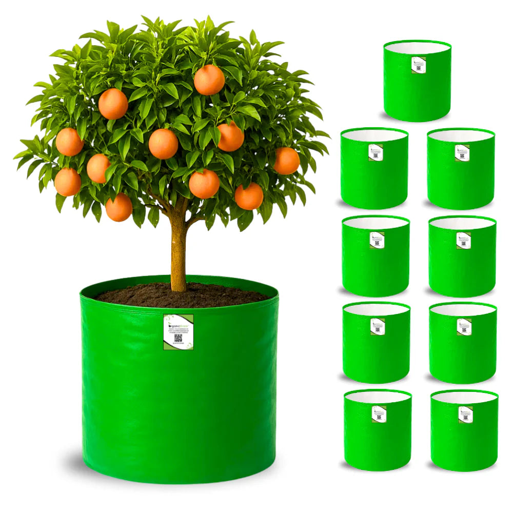 Carvix HDPE 18x18 Grow Bags for Terrace Gardening Extra Thick Premium Quality Grow Bags