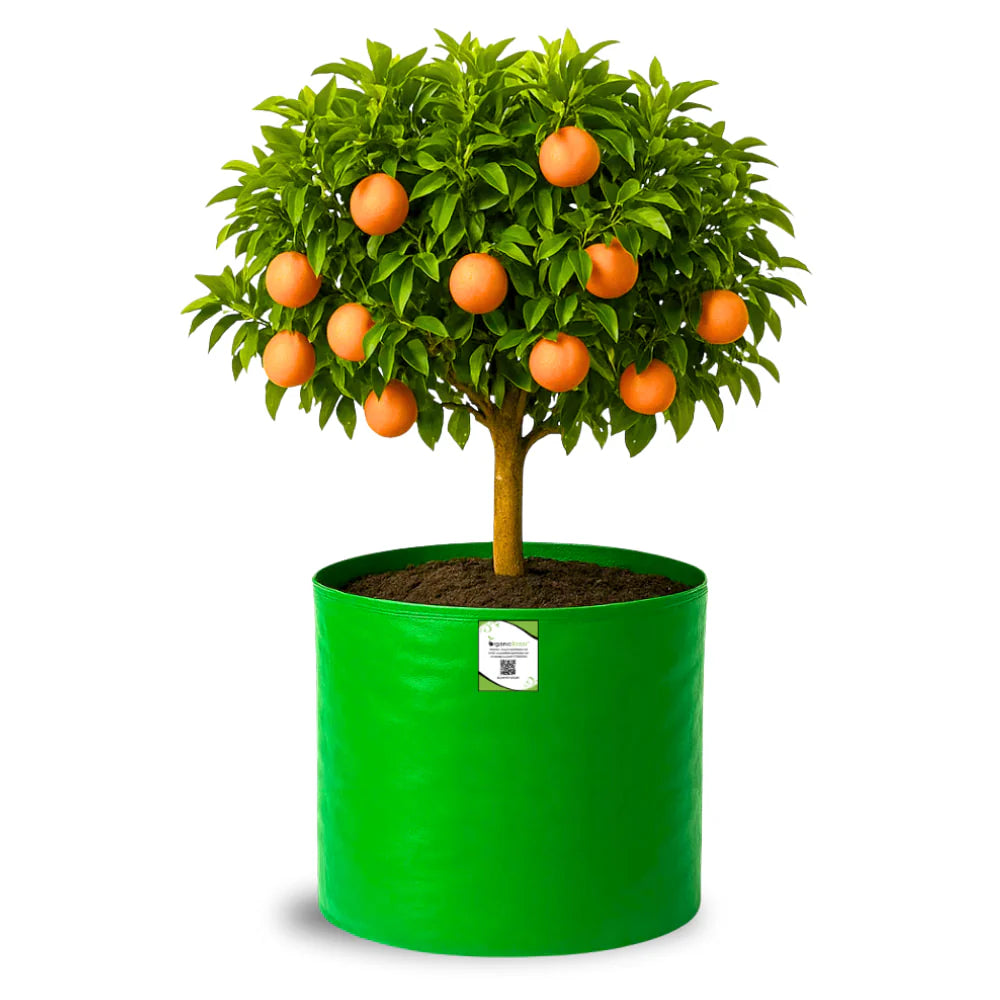 Carvix HDPE 18x18 Grow Bags for Terrace Gardening Extra Thick Premium Quality Grow Bags