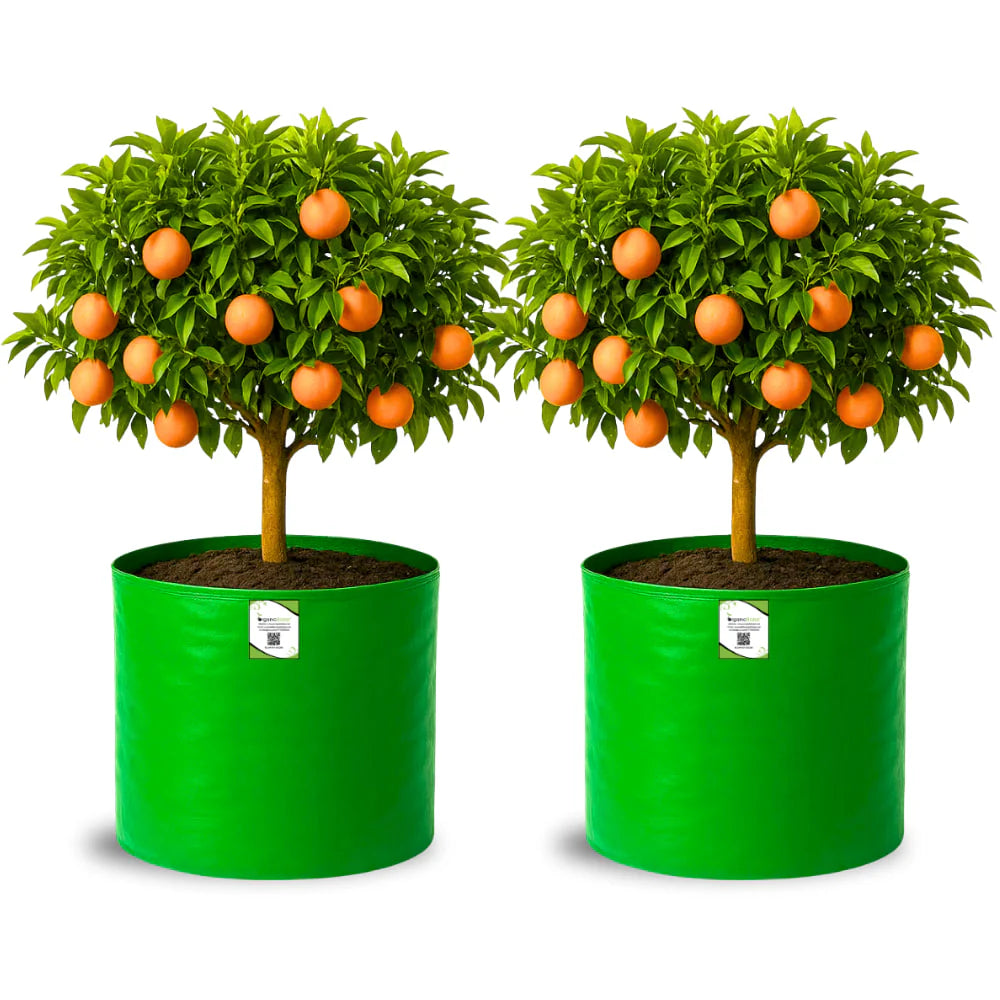 Carvix HDPE 18x18 Grow Bags for Terrace Gardening Extra Thick Premium Quality Grow Bags