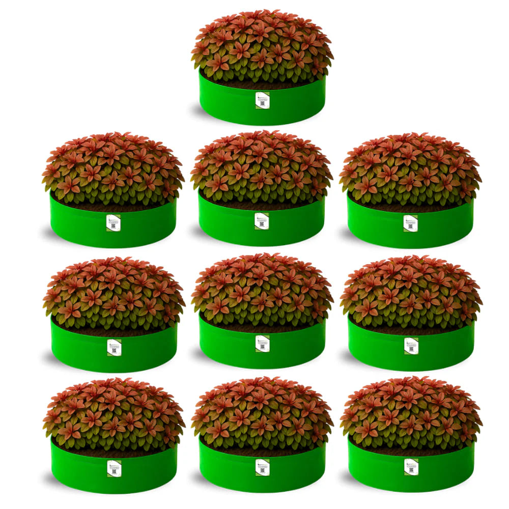 Carvix 18x6 Grow Bag for Leafy Vegetables, Premium HDPE 260 GSM, Green Plant Bags for Terrace Garden