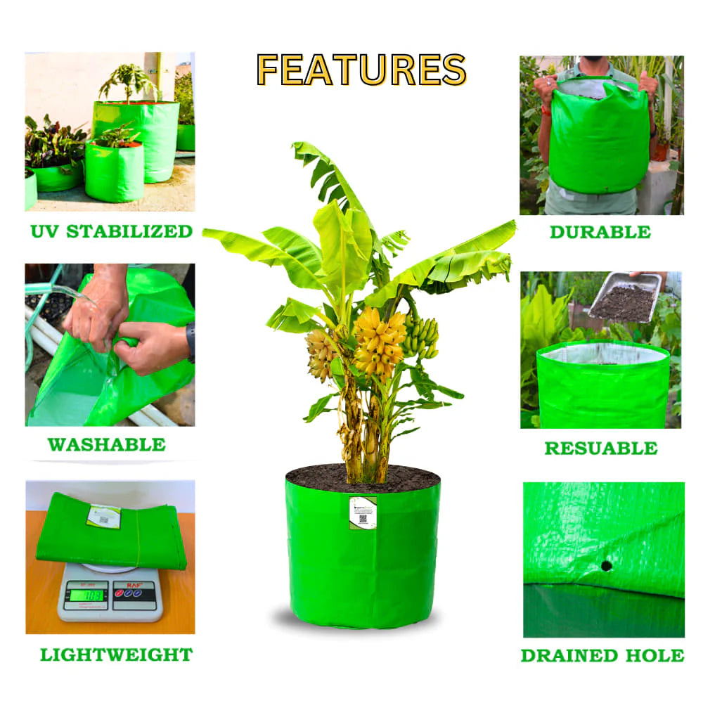 Carvix 21x21 Big Size Grow Bags for Terrace Gardening, Premium HDPE 260 GSM Green Plant Bag for Fruit Tree