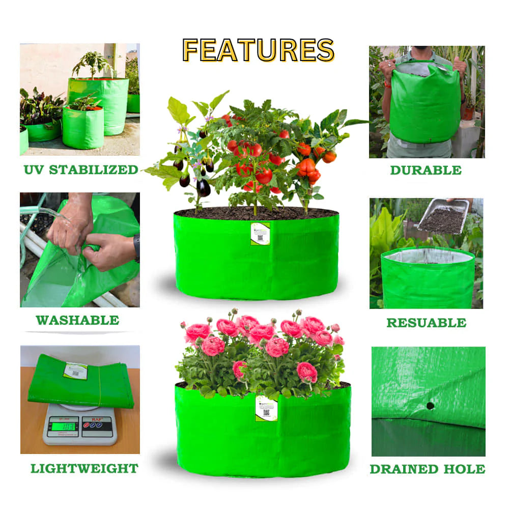 Carvix 24x12 Big Size Grow Bags for Home and Terrace Garden, Premium HDPE 260 GSM Green Plant Bag