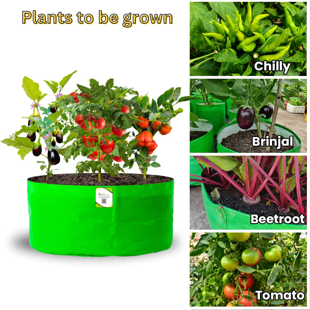 Carvix 24x12 Big Size Grow Bags for Home and Terrace Garden, Premium HDPE 260 GSM Green Plant Bag