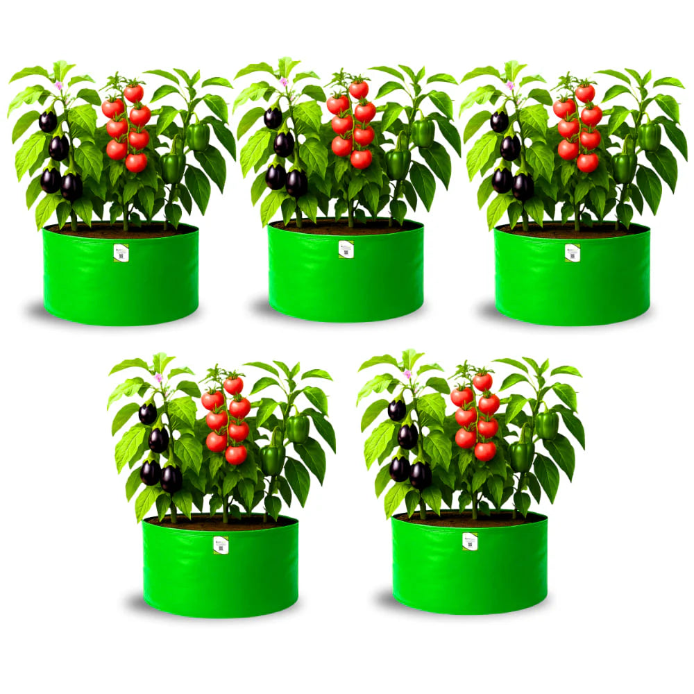 HDPE 24x15 Grow Bags for Home and Terrace Gardening Extra Thick Premium Quality Grow Bags