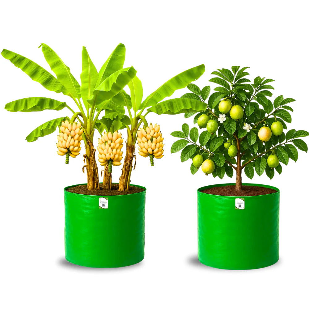 Carvix HDPE 24x24 Big Size Grow Bags for Home Gardening | Plants Bags for Fruits, Vegetables, & Flowers | Round Green Planting Bags | 260 GSM Garden Growing Bag