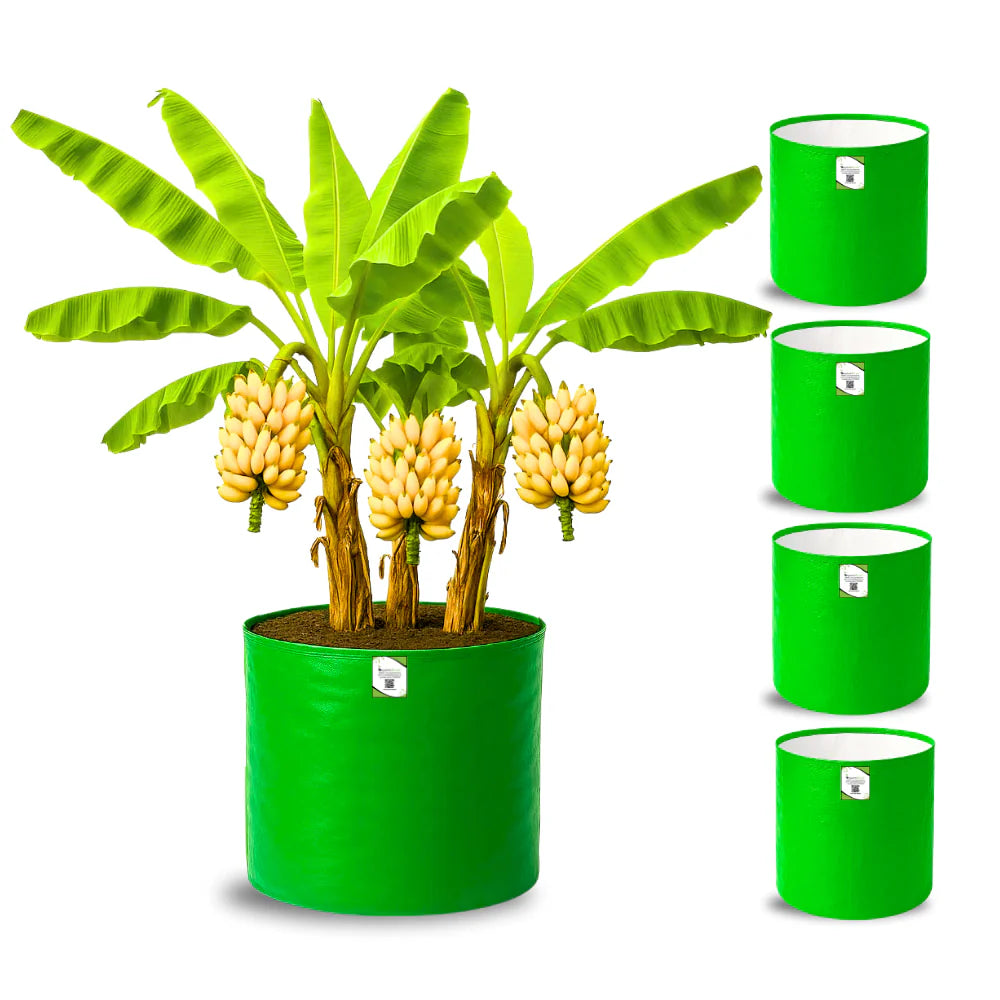 Carvix HDPE 24x24 Big Size Grow Bags for Home Gardening | Plants Bags for Fruits, Vegetables, & Flowers | Round Green Planting Bags | 260 GSM Garden Growing Bag