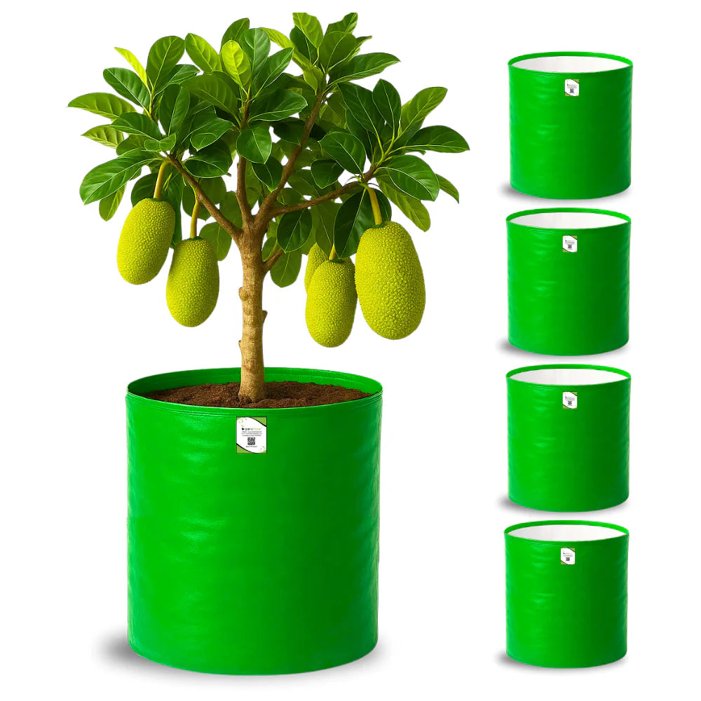 Carvix 24X36 Very Large Grow Bag for Fruit Tree, Premium HDPE 260 GSM Green Big Planter for Terrace Garden