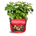 Carvix 15X12 Potato Grow Bag With Harvest Window For Terrace Gardening Suitable For Vegetable and Flower Plants