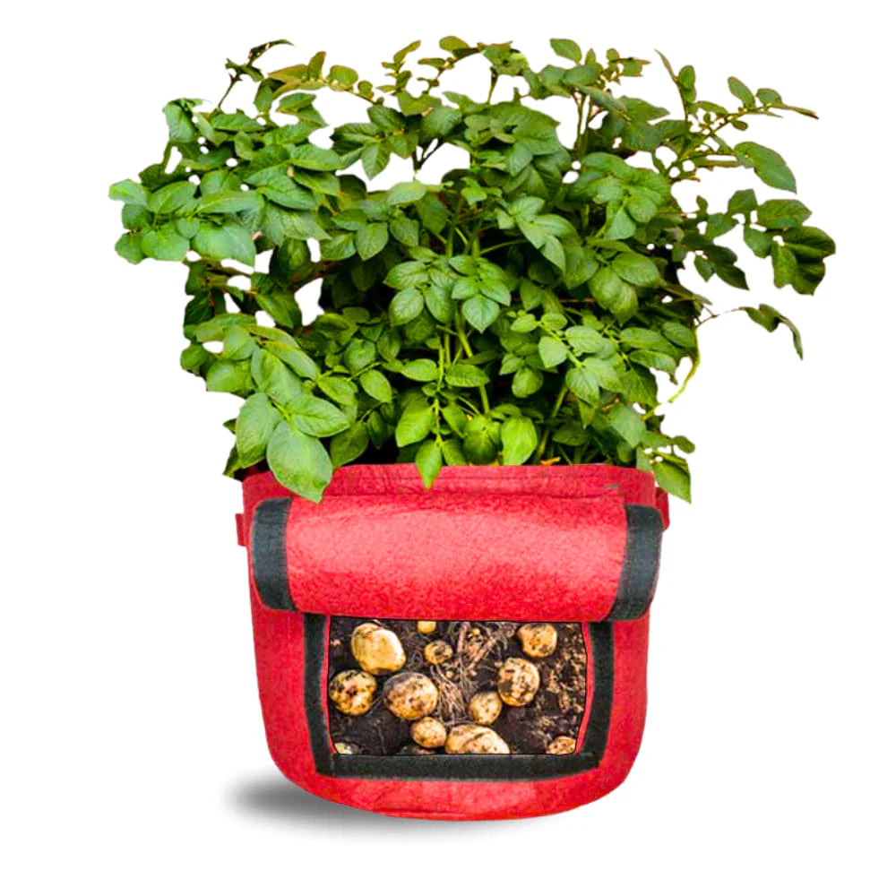 Carvix 15X12 Potato Grow Bag With Harvest Window For Terrace Gardening Suitable For Vegetable and Flower Plants