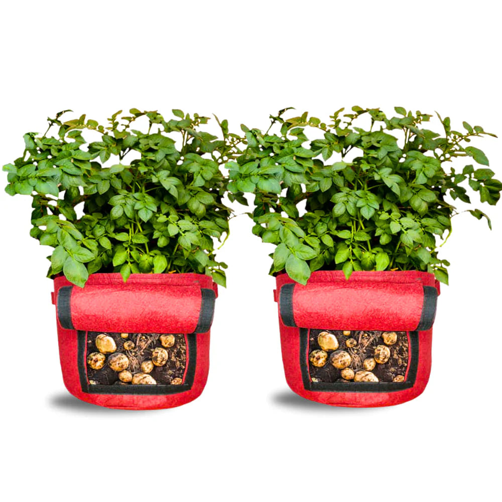 Carvix 15X12 Potato Grow Bag With Harvest Window For Terrace Gardening Suitable For Vegetable and Flower Plants