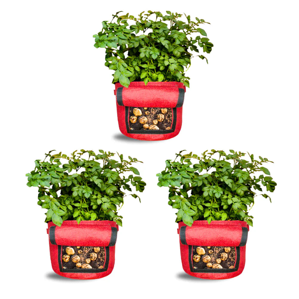 Carvix 15X12 Potato Grow Bag With Harvest Window For Terrace Gardening Suitable For Vegetable and Flower Plants