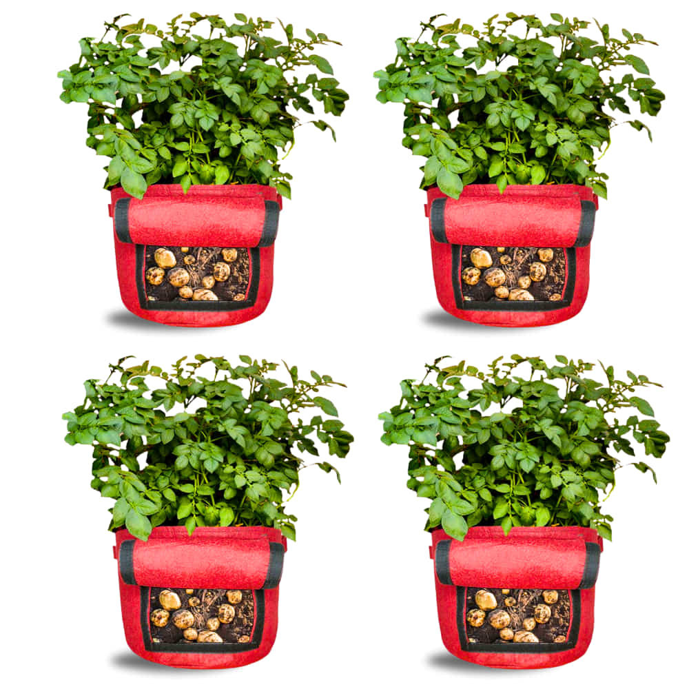 Carvix 15X12 Potato Grow Bag With Harvest Window For Terrace Gardening Suitable For Vegetable and Flower Plants