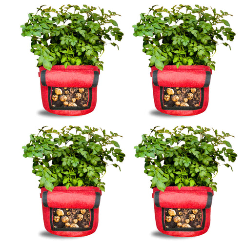 Carvix 15X12 Potato Grow Bag With Harvest Window For Terrace Gardening Suitable For Vegetable and Flower Plants