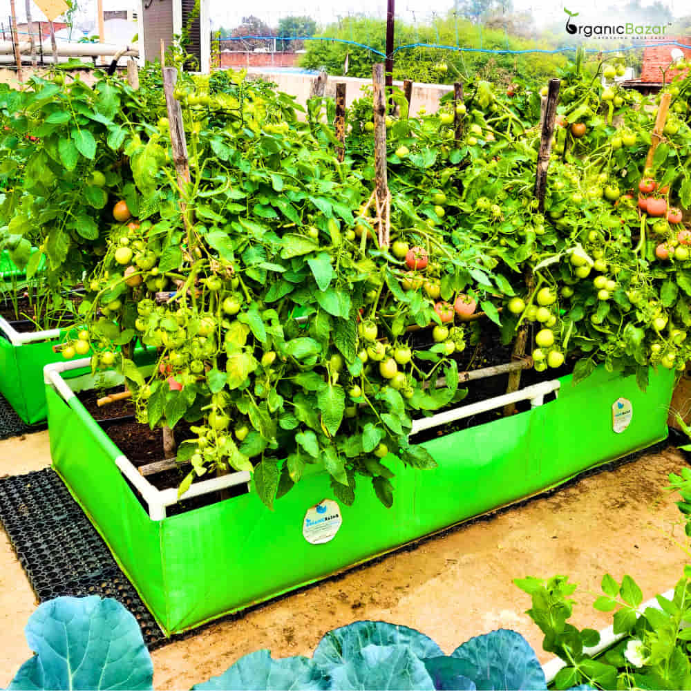 72x36x12 Rectangular Grow Bag With Supporting Pvc Pipes Frame, Premium HDPE Green Raised Bed