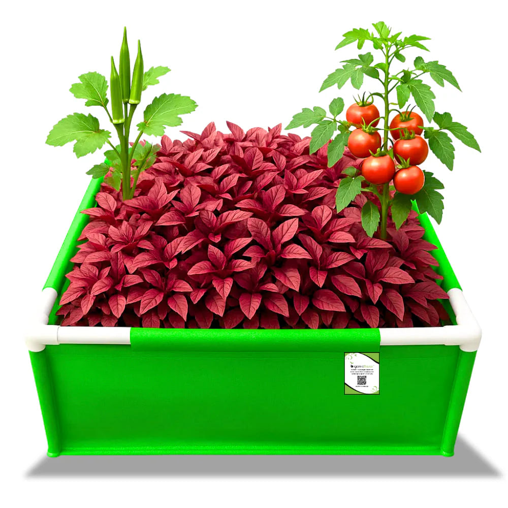 Carvix 24x18x12 Rectangular Grow Bags with PVC Support Pipes for Terrace Garden